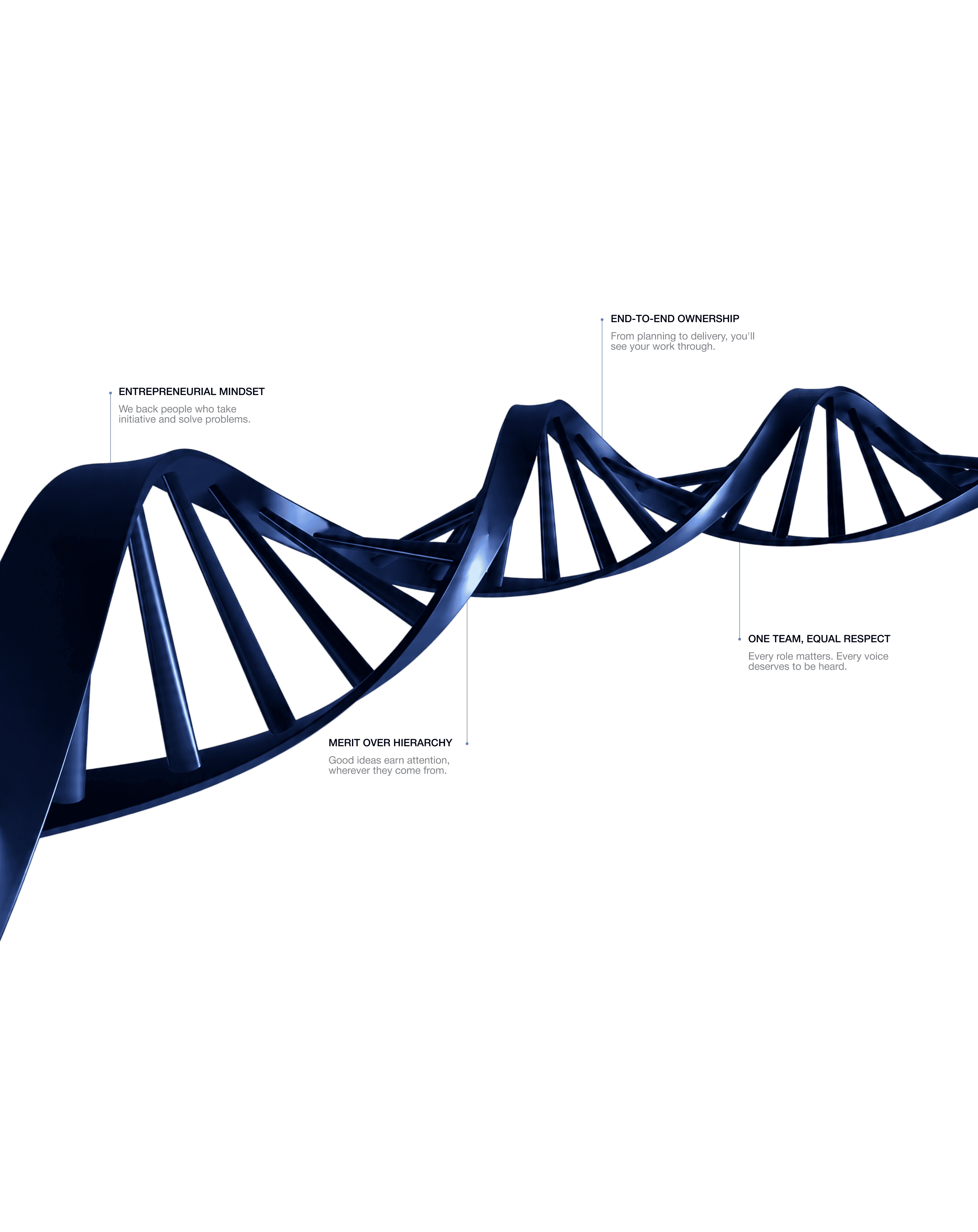 A DNA form representing the shared principles that connect InVenire's people.