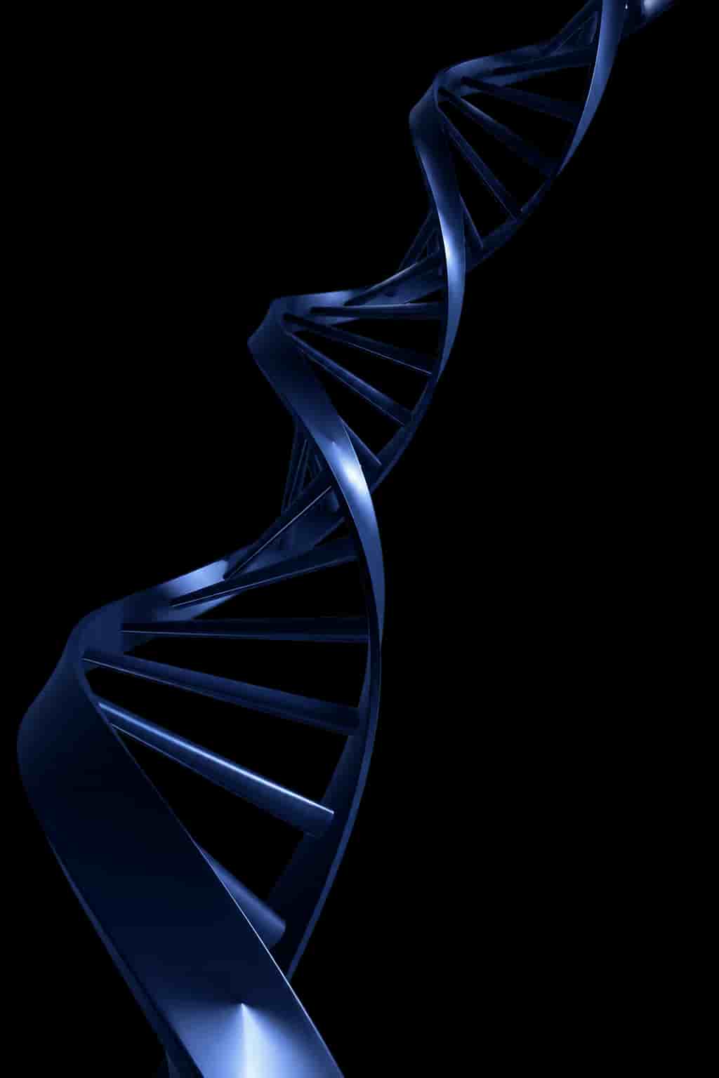 A DNA form representing the shared principles that connect InVenire's people.
